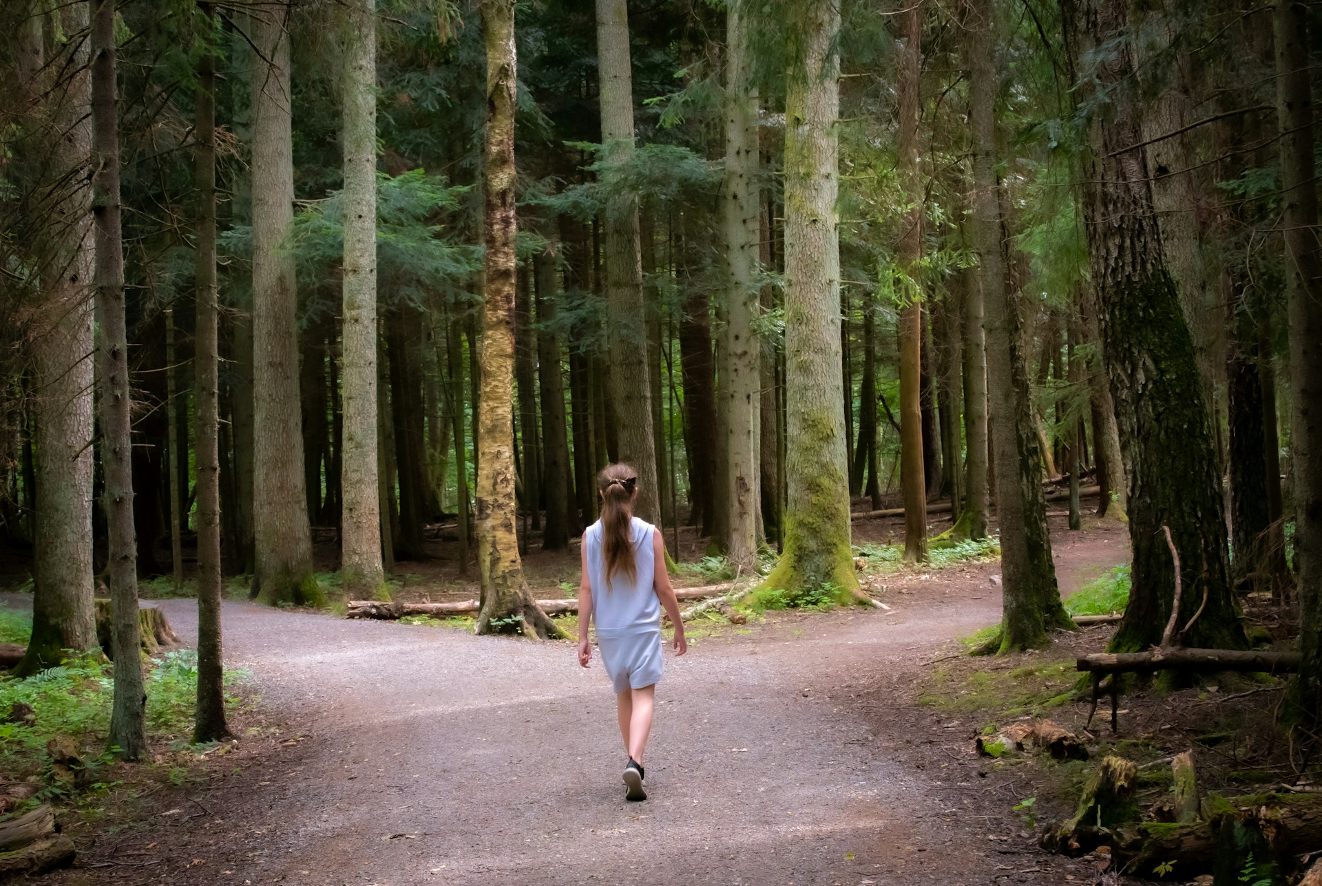 Girl walking in the forest approaching a forked path